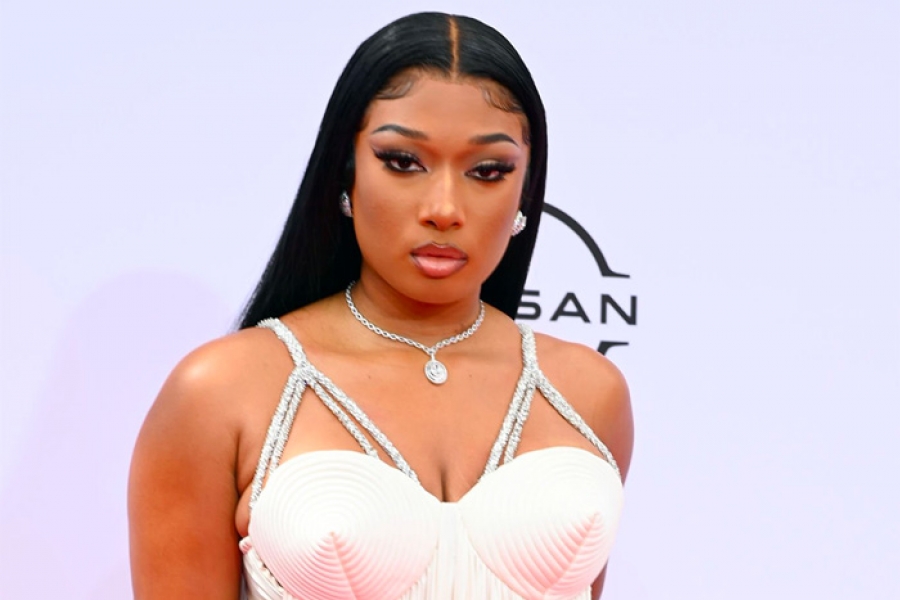 Megan Thee Stallion Slams ‘Grasping Ass Males’ After Ticket Lawsuit