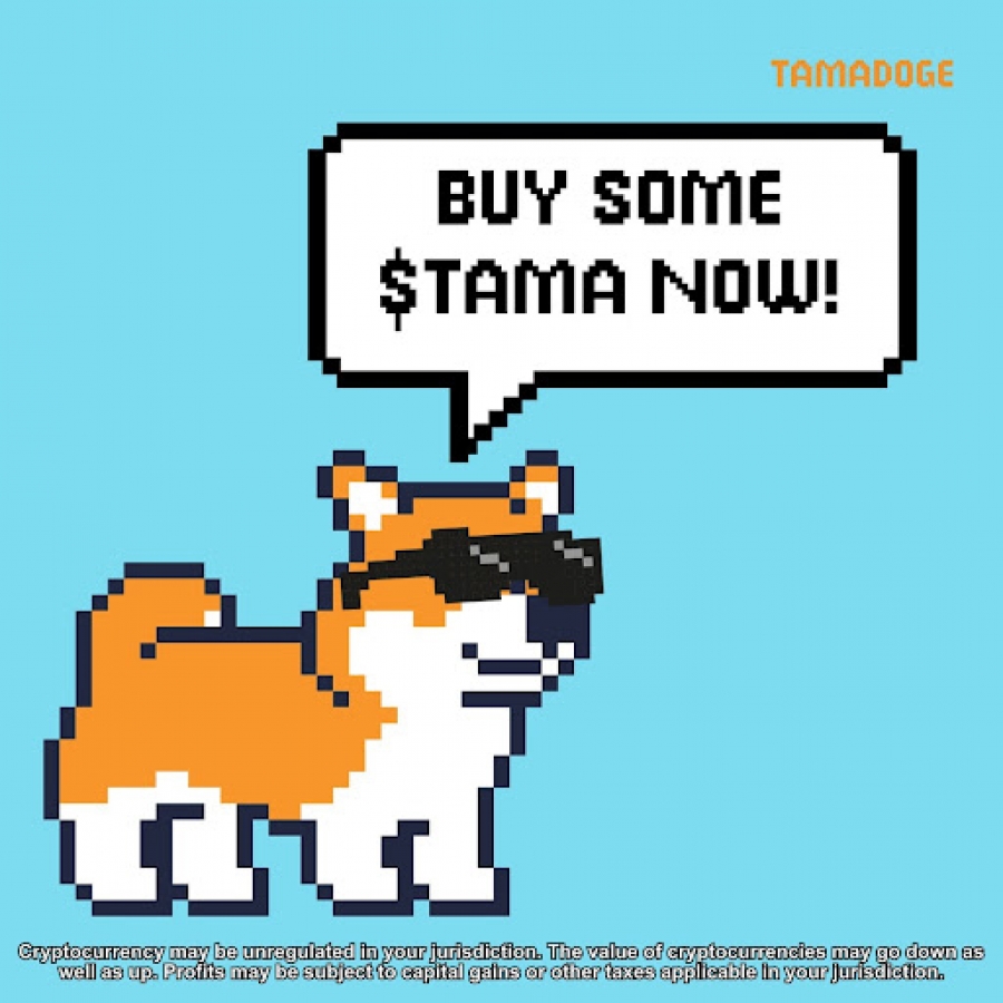 Tamadoge is the Most attention-grabbing Meme Coin on the Market; 5 Reasons You Must Web Make investments Now