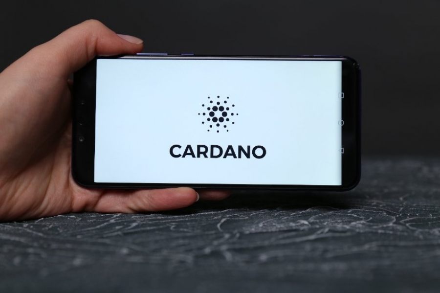 Cardano predicted a further 60% decline. Does the price action show this?